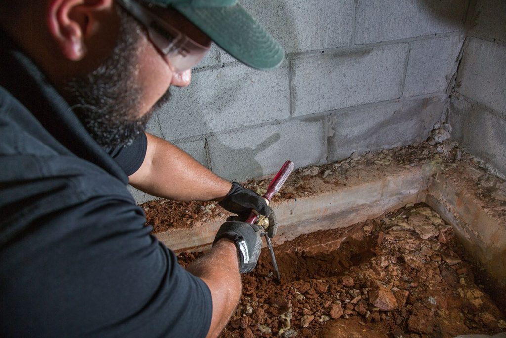 What to Expect From a Termite Inspection