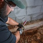 What to Expect From a Termite Inspection