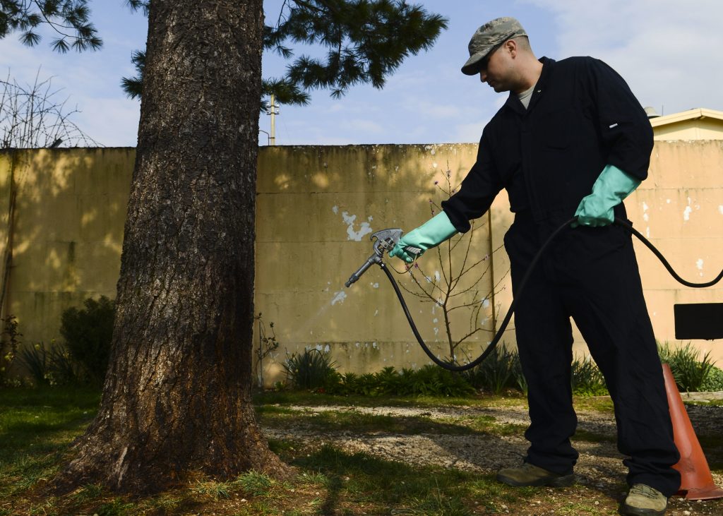 How Professionals In Essex Are Making Pest Control Easier?