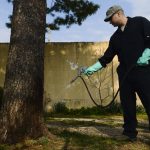 How Professionals In Essex Are Making Pest Control Easier?