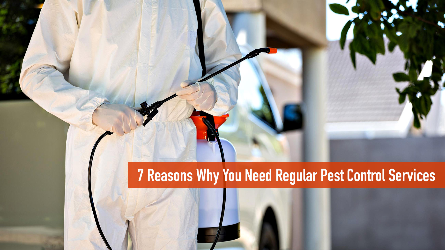 Why Consider Pest Control Solutions?