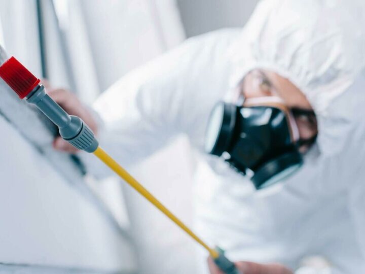How to Choose the Right Pest Control Service
